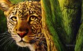 leopardo 12
